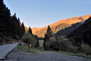 Anello dei MONTI ARETE (2227 m) e VALEGINO (2415 m) da Cambrembo di Valleve il 14 ottobre 2018 - FOTOGALLERY